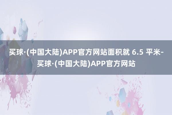 买球·(中国大陆)APP官方网站面积就 6.5 平米-买球·(中国大陆)APP官方网站