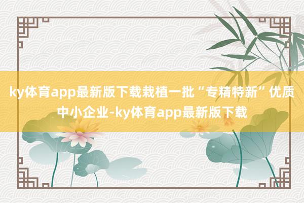 ky体育app最新版下载栽植一批“专精特新”优质中小企业-ky体育app最新版下载