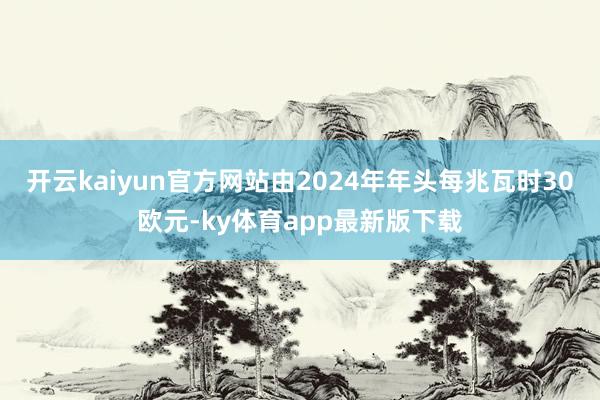 开云kaiyun官方网站由2024年年头每兆瓦时30欧元-ky体育app最新版下载