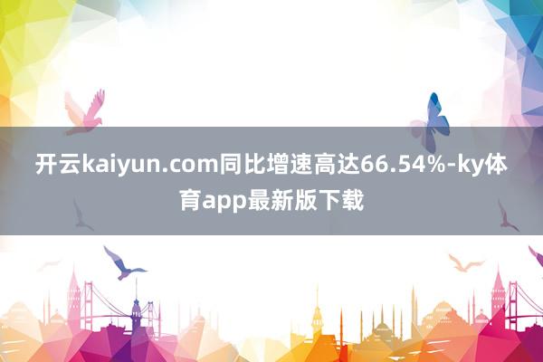 开云kaiyun.com同比增速高达66.54%-ky体育a